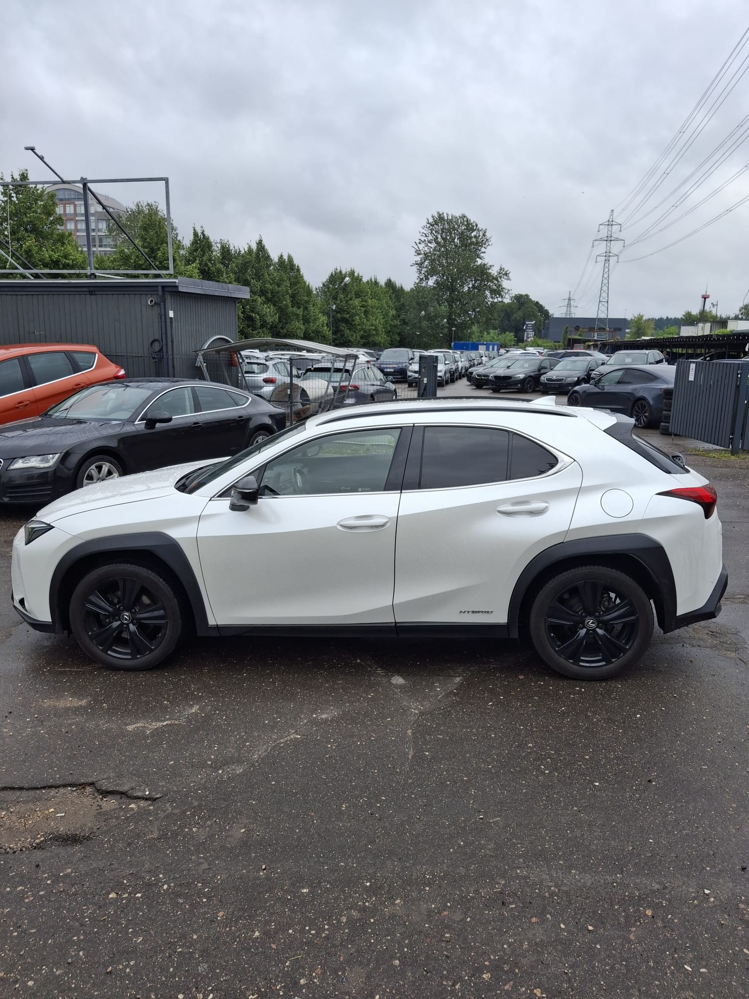 Car image 5